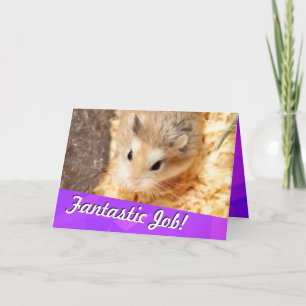 Carte Hammyville - Hamster Félicitations