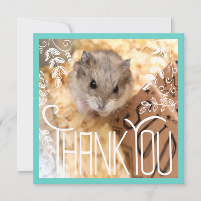 Carte Hammyville - Hamster Merci (Devant)
