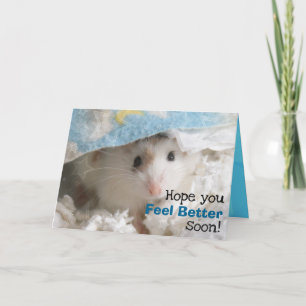 Carte Hammyville - le hamster mignon obtiennent bientôt