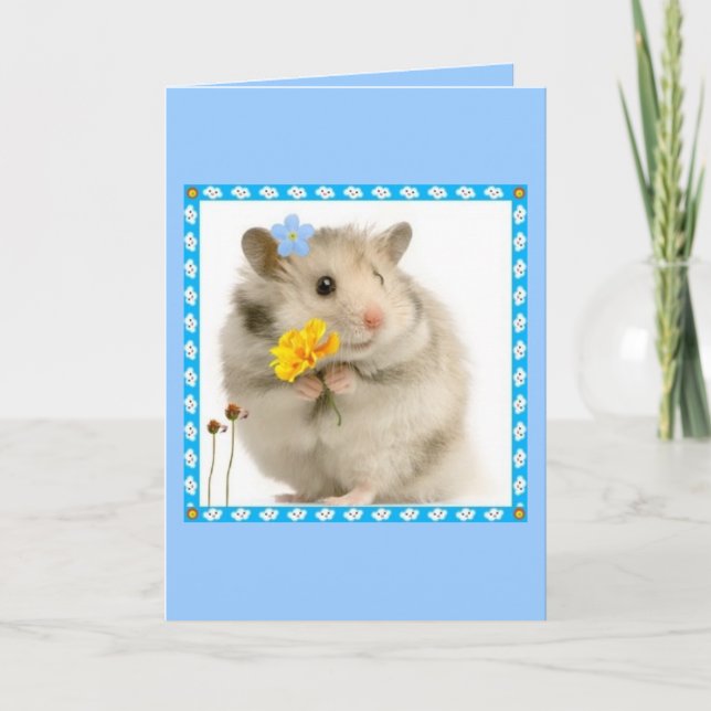 Carte hamster (Devant)