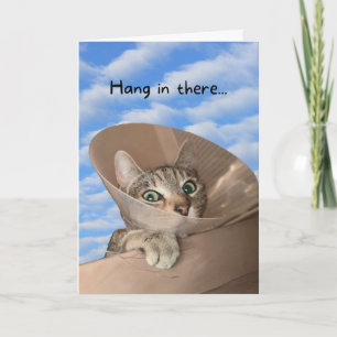 Carte Hang In There Chat in Cone Funny Se tirer bien 