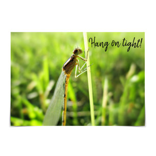 Carte "Hang on Tight"