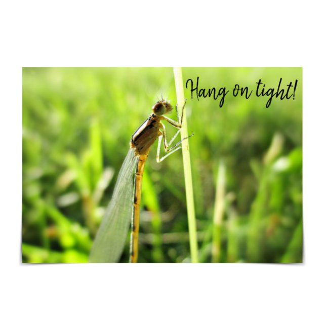 Carte "Hang on Tight" (Créateur téléchargé)