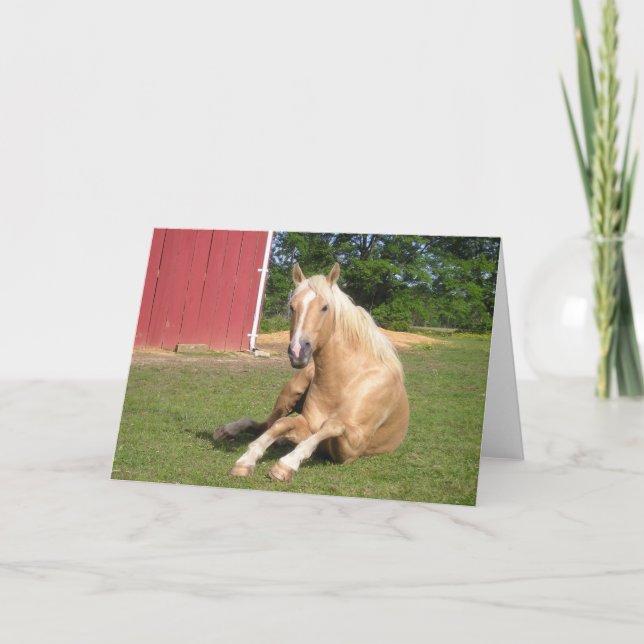Carte Hansome Palomino (Devant)