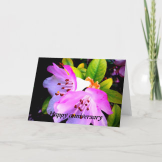Carte Happy anniversar card