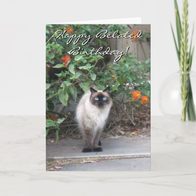 Carte Happy Belated Anniversaire Himalayan Mix chat (Devant)