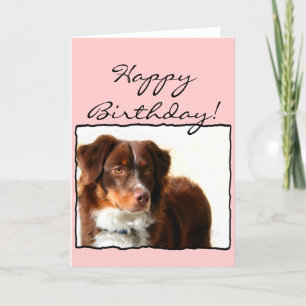 Carte Happy Birthday Australian Shepherd greeting card