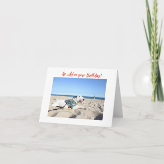 Carte Happy Birthday! Beach Bull Terrier Hawaii