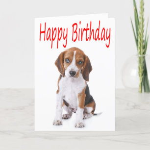 Carte Happy Birthday Beagle Puppy Dog Greeting Card