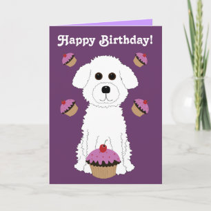Carte Happy Birthday Bichon
