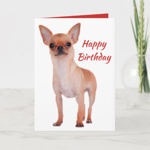 Carte Happy Birthday Chihuahua Puppy Dog Puppies Dogs