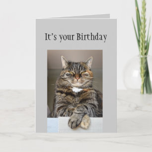 Carte Happy Birthday Don't look You Age Fun Cat