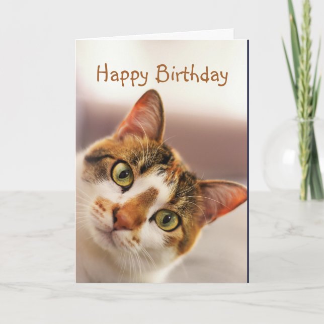 Carte Happy Birthday Fun Cat Kitten Pop in (Devant)