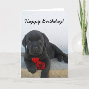 Carte Happy Birthday Labrador Retriever greeting card