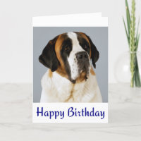 Happy Birthday Saint Bernard Puppy Dog Card