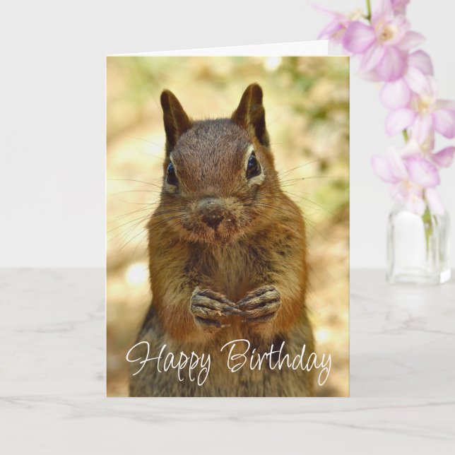 Carte Happy Birthday Squirrel Looking for Cake (Orchidée)