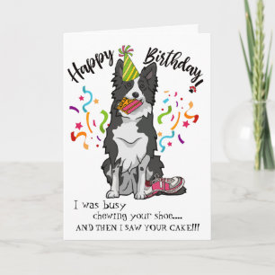 Carte Happy Birthday Your Border Collie Dog Pink Shoes