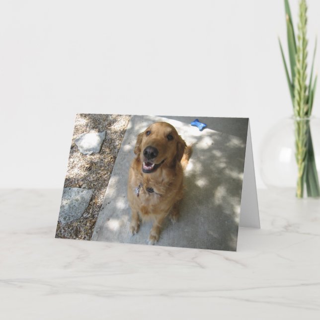 Carte Happy Golden Retriever (Devant)