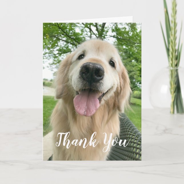 Carte Happy Golden Retriever Chien Merci (Devant)