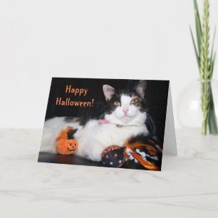 Carte Happy Halloween Chat Calico Kitty avec Citrouille