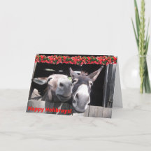 Happy Holibrays de Bunny et Hershey!