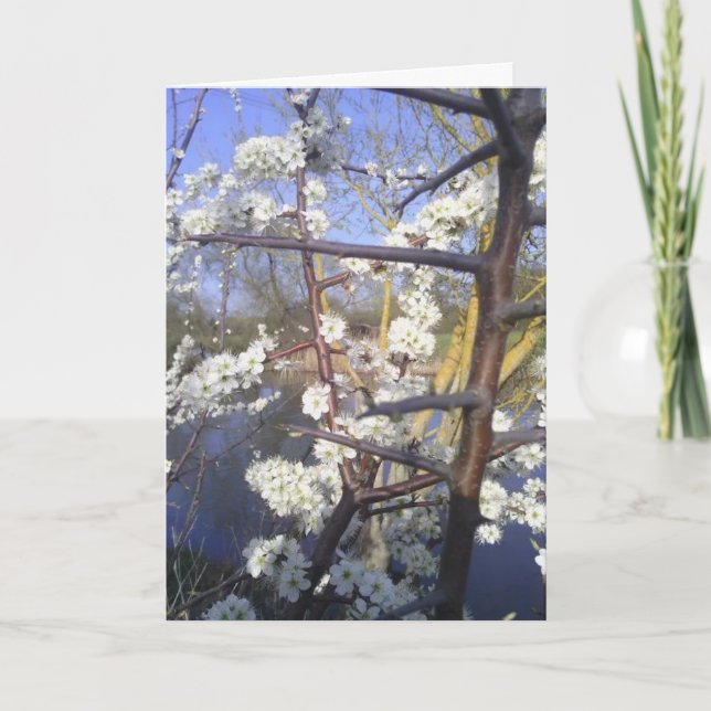 Carte Happy Imbolc (fleur d'épine noire) (Devant)