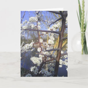 Carte Happy Imbolc (fleur d'épine noire)