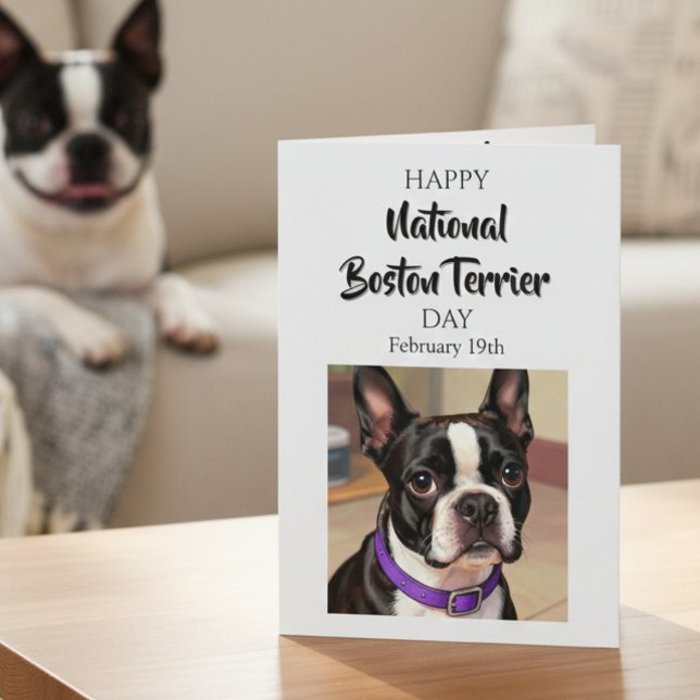Carte Happy National Boston Terrier Day | Feb 19th (Créateur téléchargé)