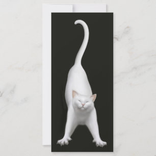 Carte Happy Stretching Cat Signet