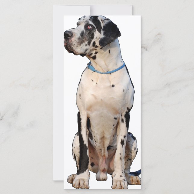 Carte Harlekin Great Dane (Devant)