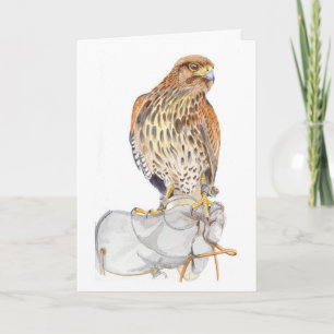 Carte Harris Hawk sur Glove