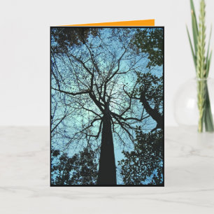 Carte Haunted Woods Halloween