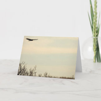 Carte haute note Hawk Flying