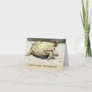 CARTE HAUTEUR/TURTLE ACCIDENT TOURNÉ SUR LE DOS