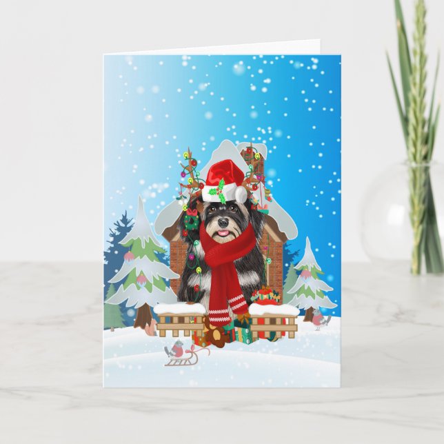 Carte Havanais dans la neige avec des cadeaux de Noël  (Devant)