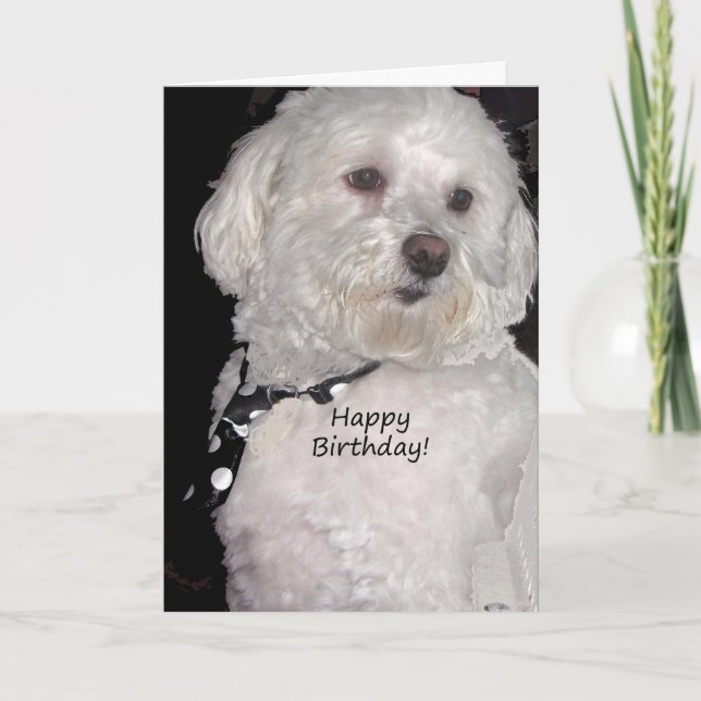 Carte Havanais Joyeux anniversaire (Devant)