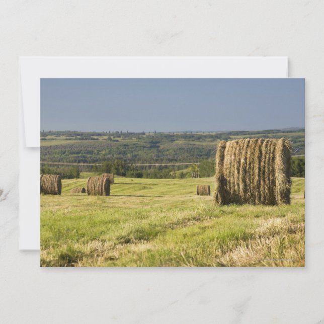 Carte Hay Bales (Devant)