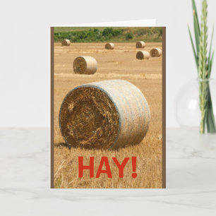 Carte HAY ! Seriez-Vous Ma Saint-Valentin ?