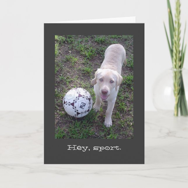Carte Hé, Sport. Fête des pères de chiot du laboratoire  (Devant)