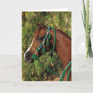 Carte Headshot arabe de cheval avec le frein