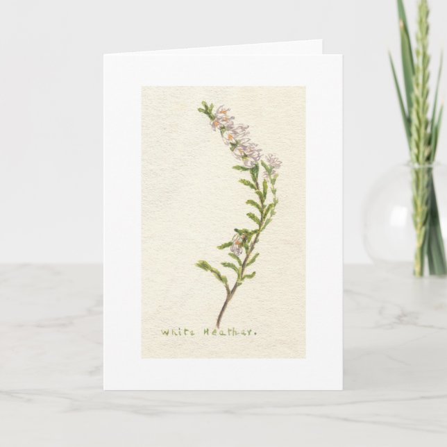 Carte Heather blanche (Devant)