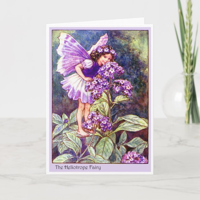 Carte Héliotrope Fairy (Devant)