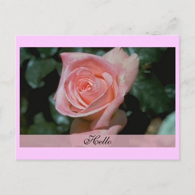 Carte Hello (Devant)