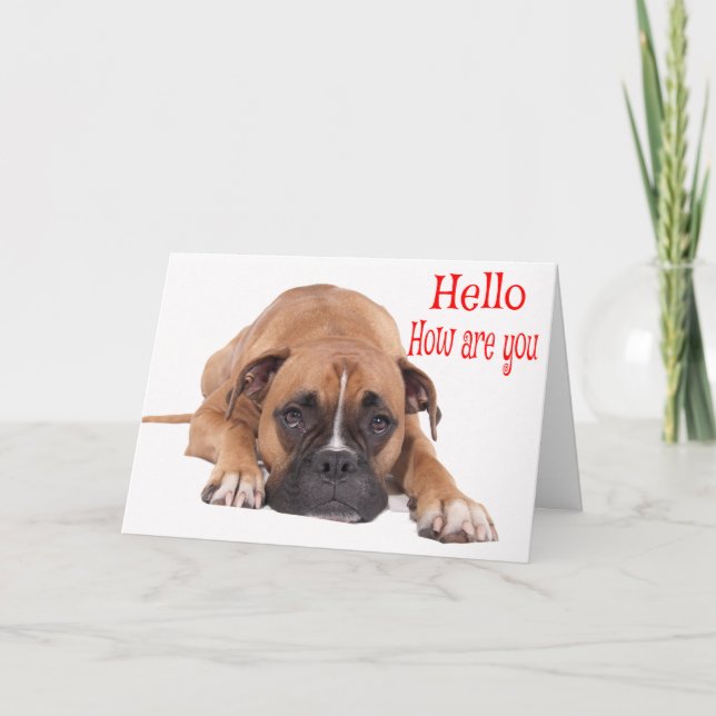 Carte Hello / Hi Boxer Puppy - Chien Brown & Blanc (Devant)