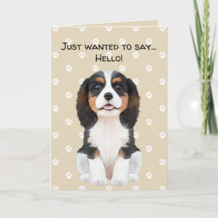 Carte Hello King Charles Spaniel Tri-Color Cavalie