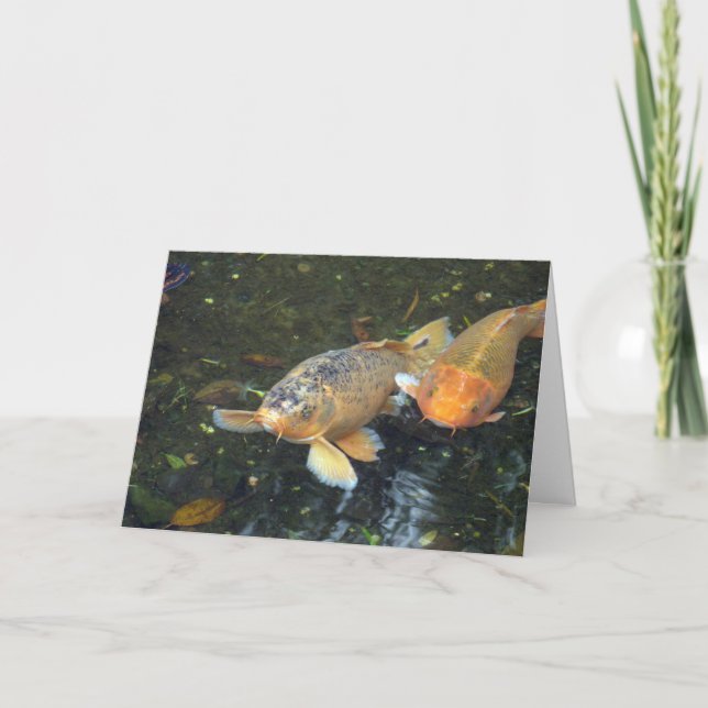 Carte Hello koi Birthday (Devant)