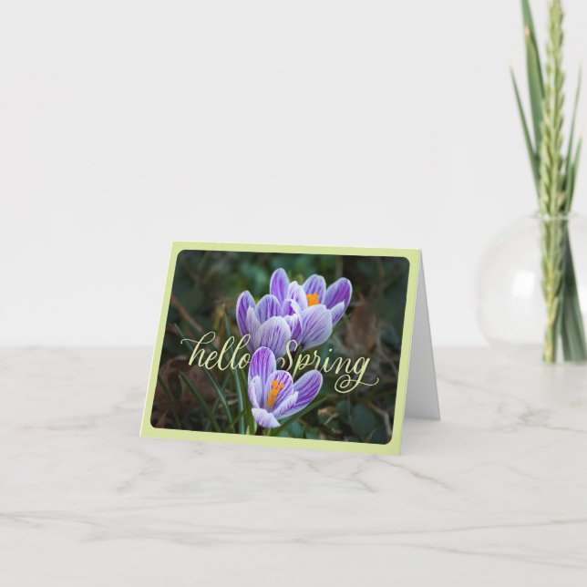 Carte "Hello Spring" et Crocuses Plied Greeting Card (Devant)