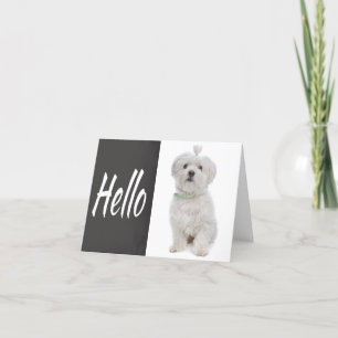 Carte Hello White Maltese Puppy Dog Chalkboard Note Card