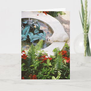 Carte Hemingway Cat 1- Greeting & Note Cards