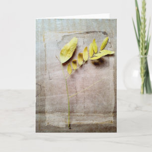 Carte Herbarium V
